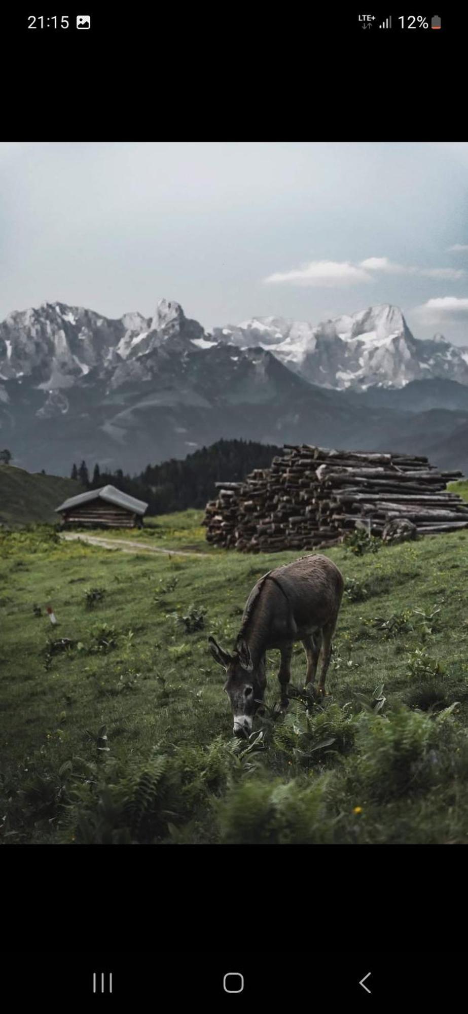 Ferienwohnung Bergliebe Sankt Martin am Tennengebirge Exterior foto