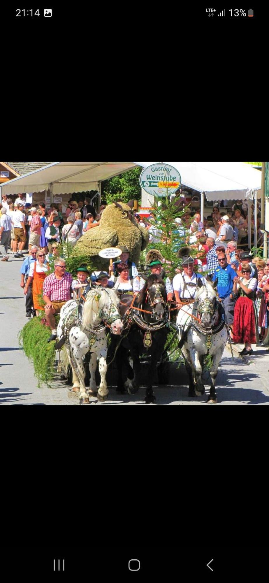 Ferienwohnung Bergliebe Sankt Martin am Tennengebirge Exterior foto